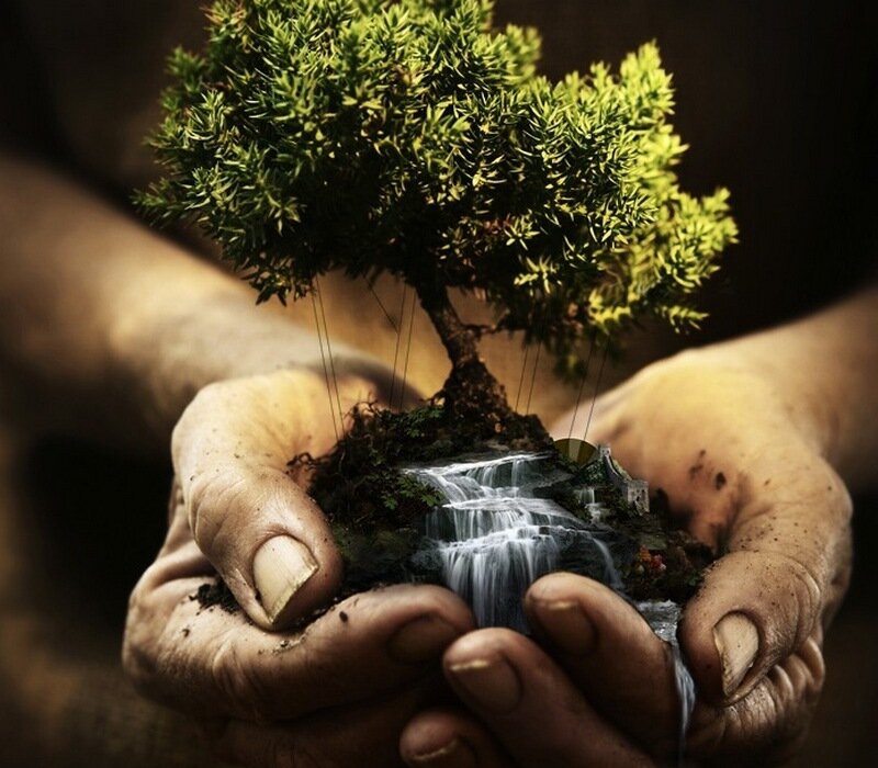 hands holding a miniature world