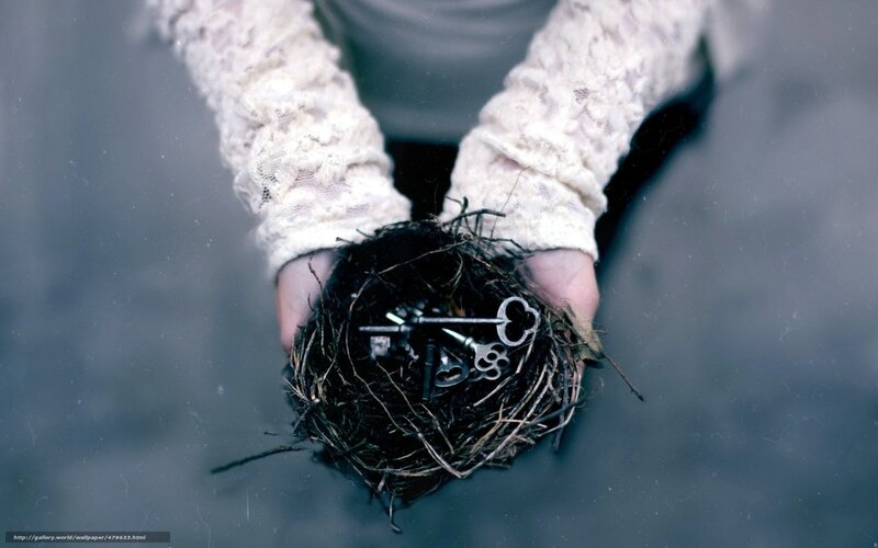 hands holding a nest with keys