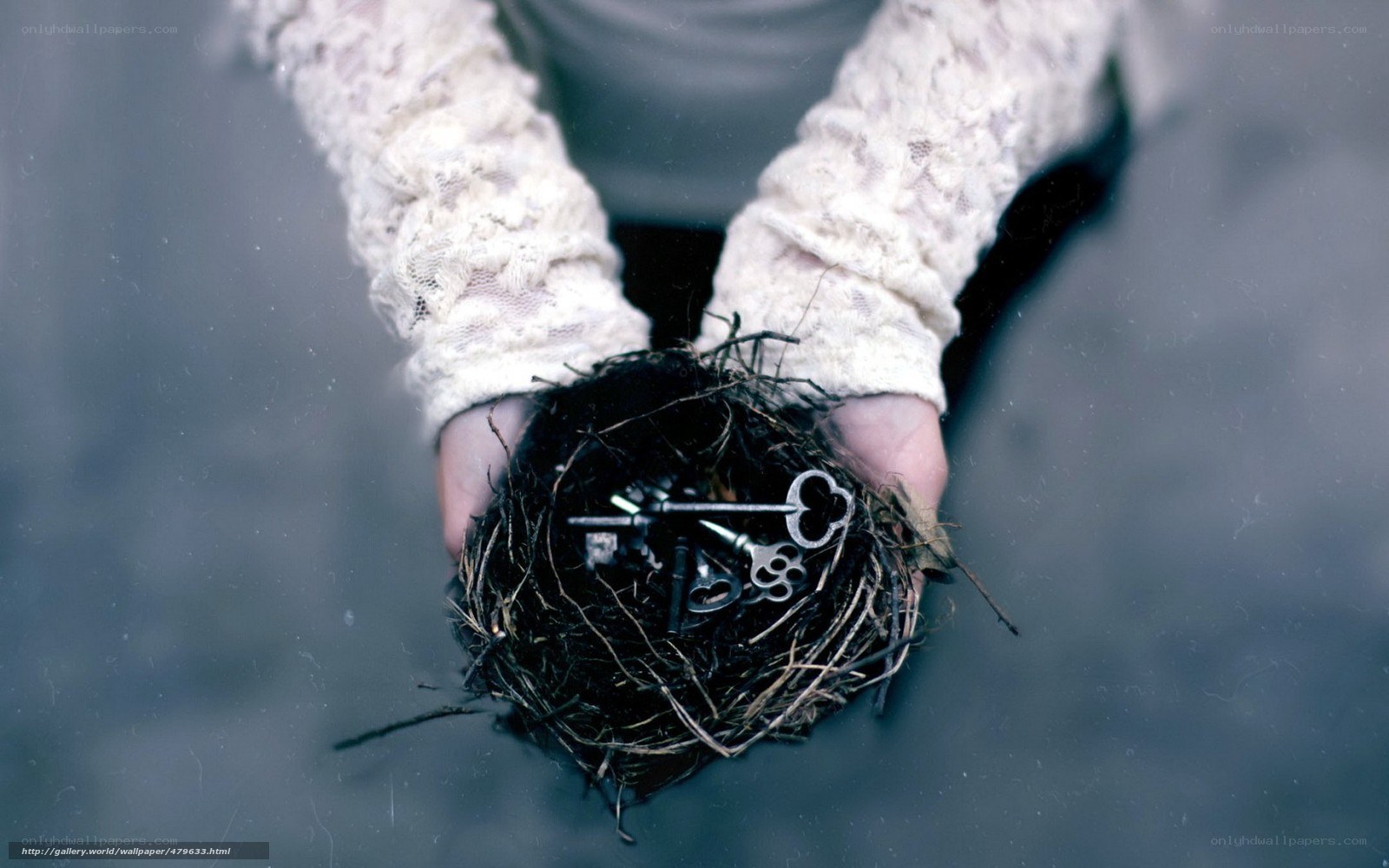 hands holding a nest with keys