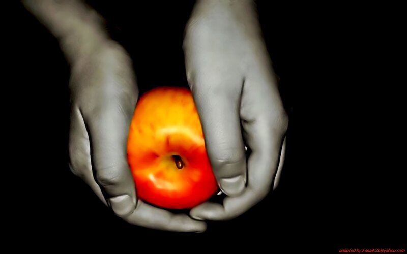 hands holding a red apple