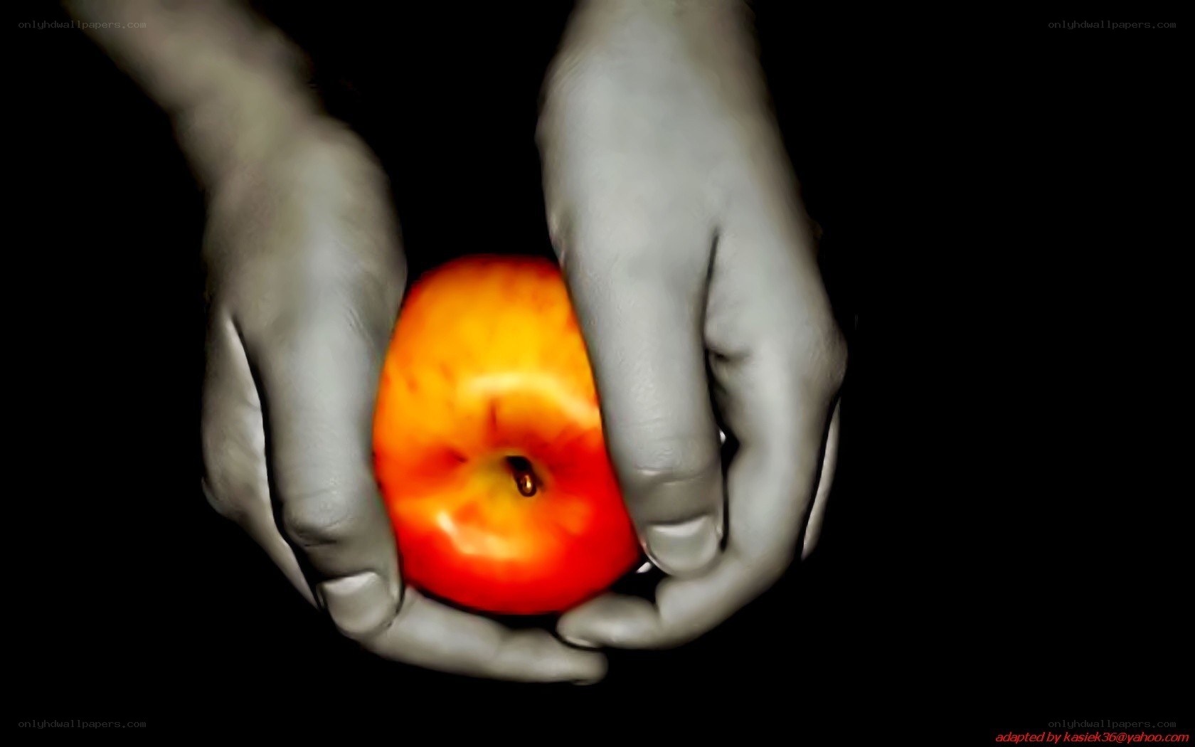 hands holding a red apple