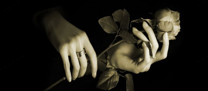 hands holding a rose