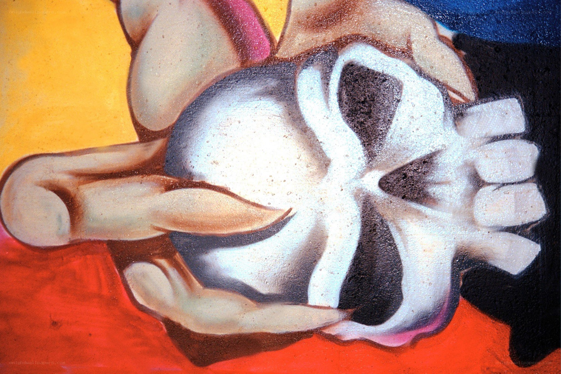 hands holding a skull