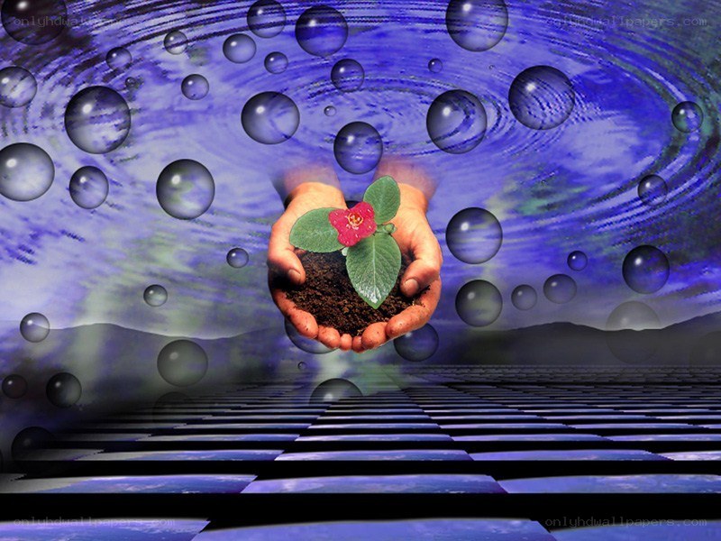 hands holding a sprouting plant