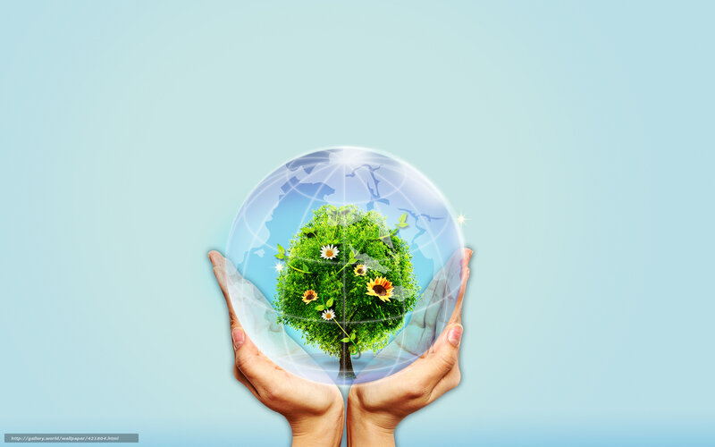 hands holding a tree globe