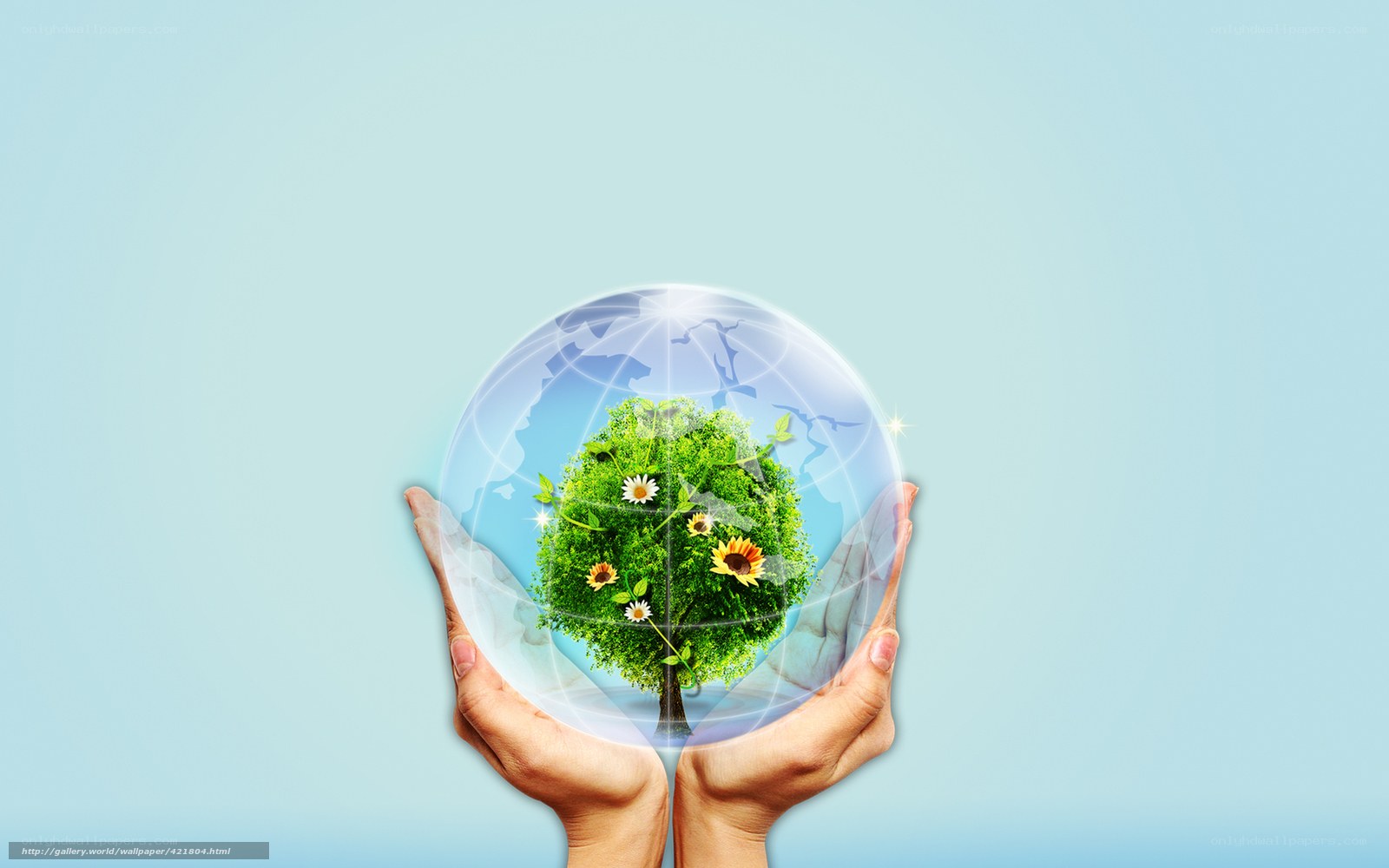 hands holding a tree globe