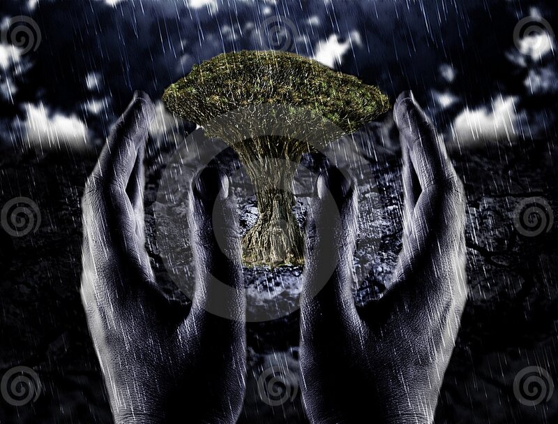 hands holding a tree in rain