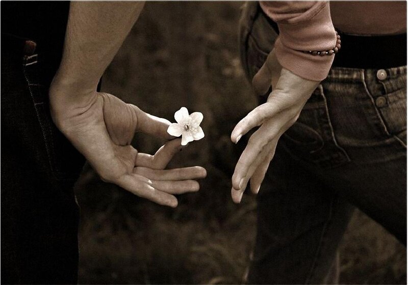 hands holding a white flower