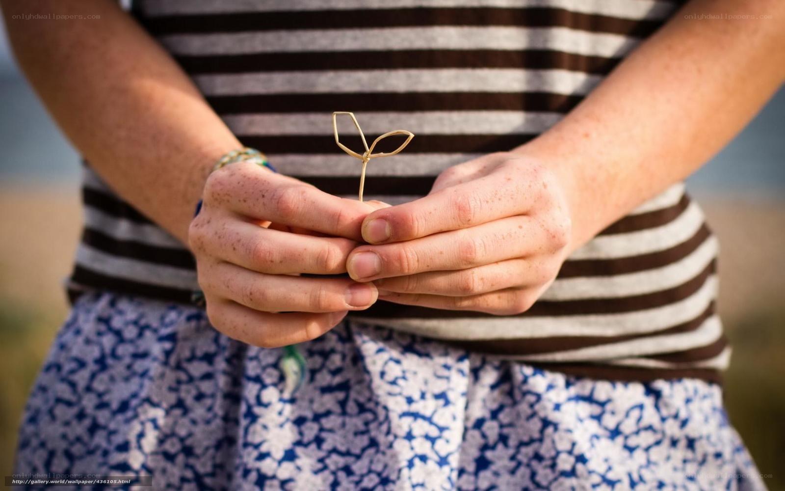hands holding a wire sprout
