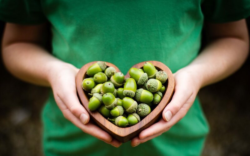 Hands Holding Acorns