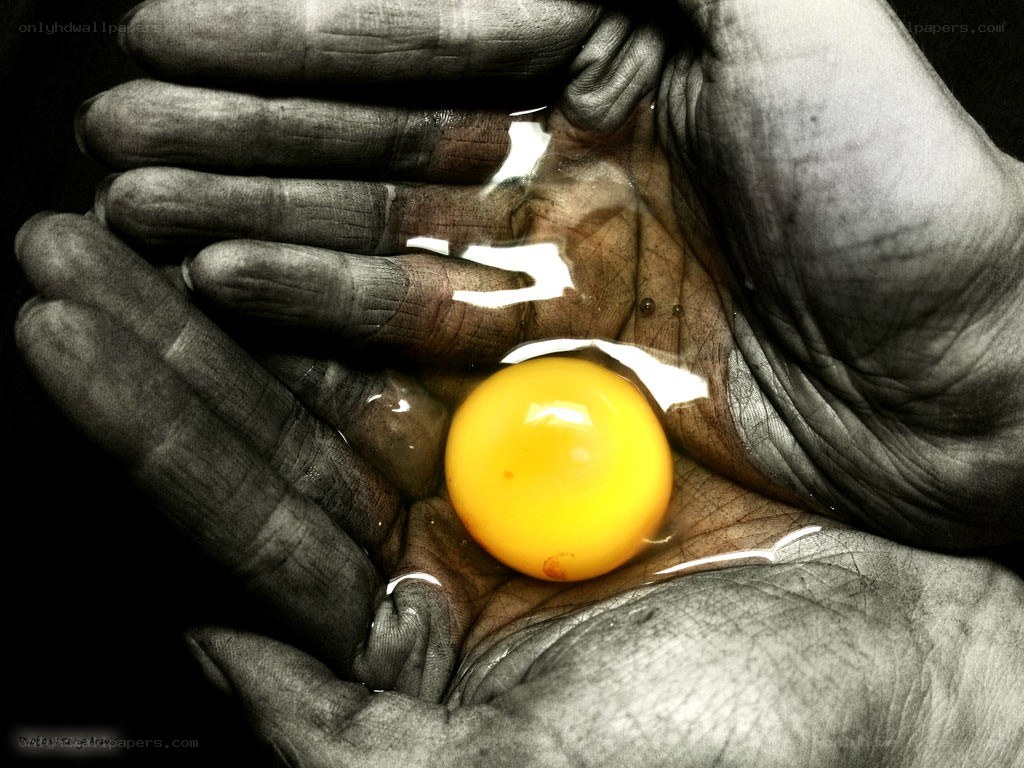 hands holding an egg yolk