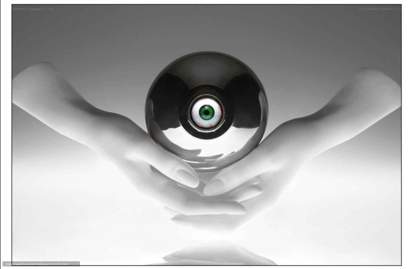 hands holding an eye ball