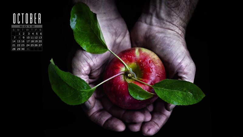 Hands Holding Apple