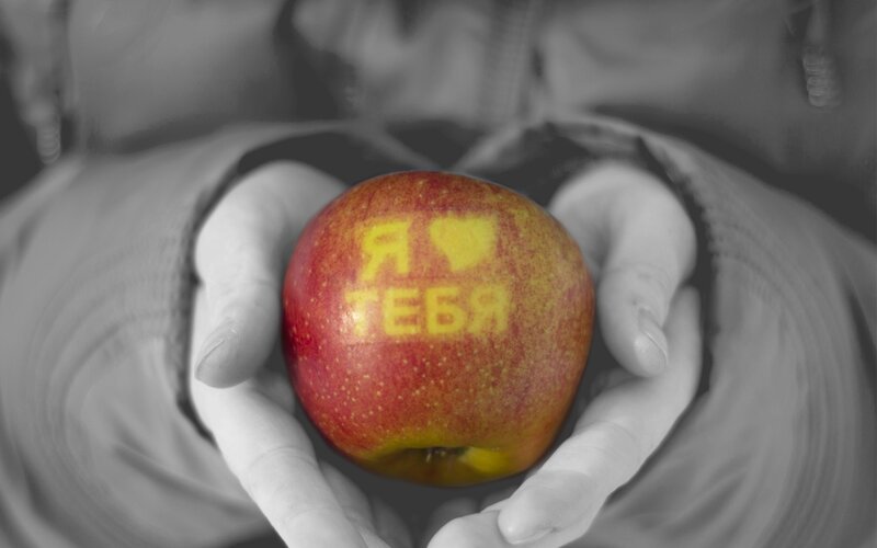hands holding apple with text