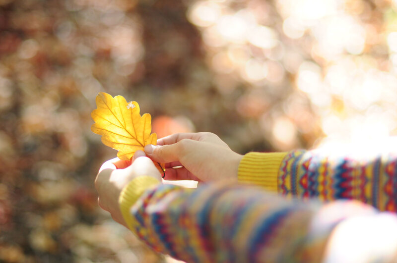 Hands Holding Autumn Leaf