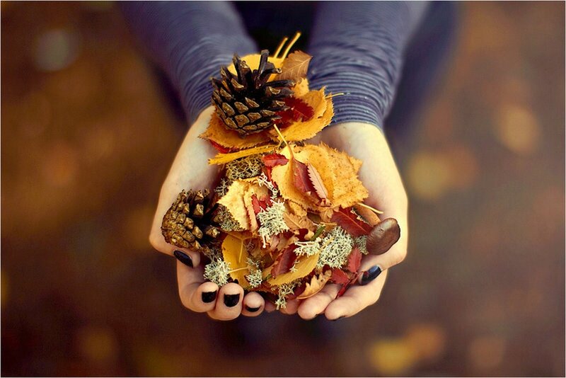 Hands Holding Autumn Leaves — Brown