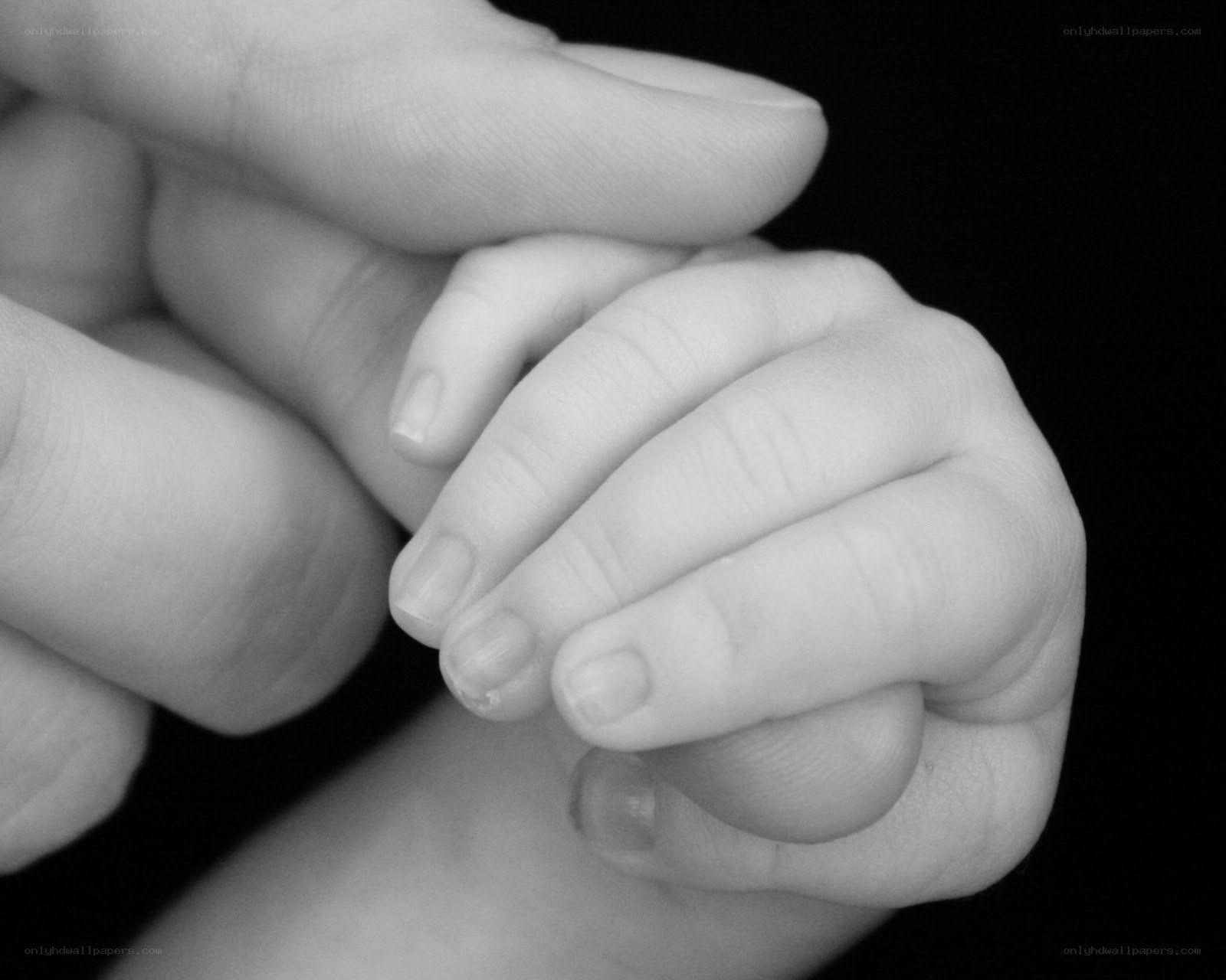 hands holding baby hand