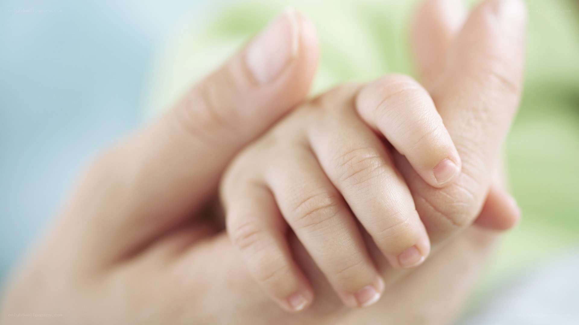hands holding baby hand