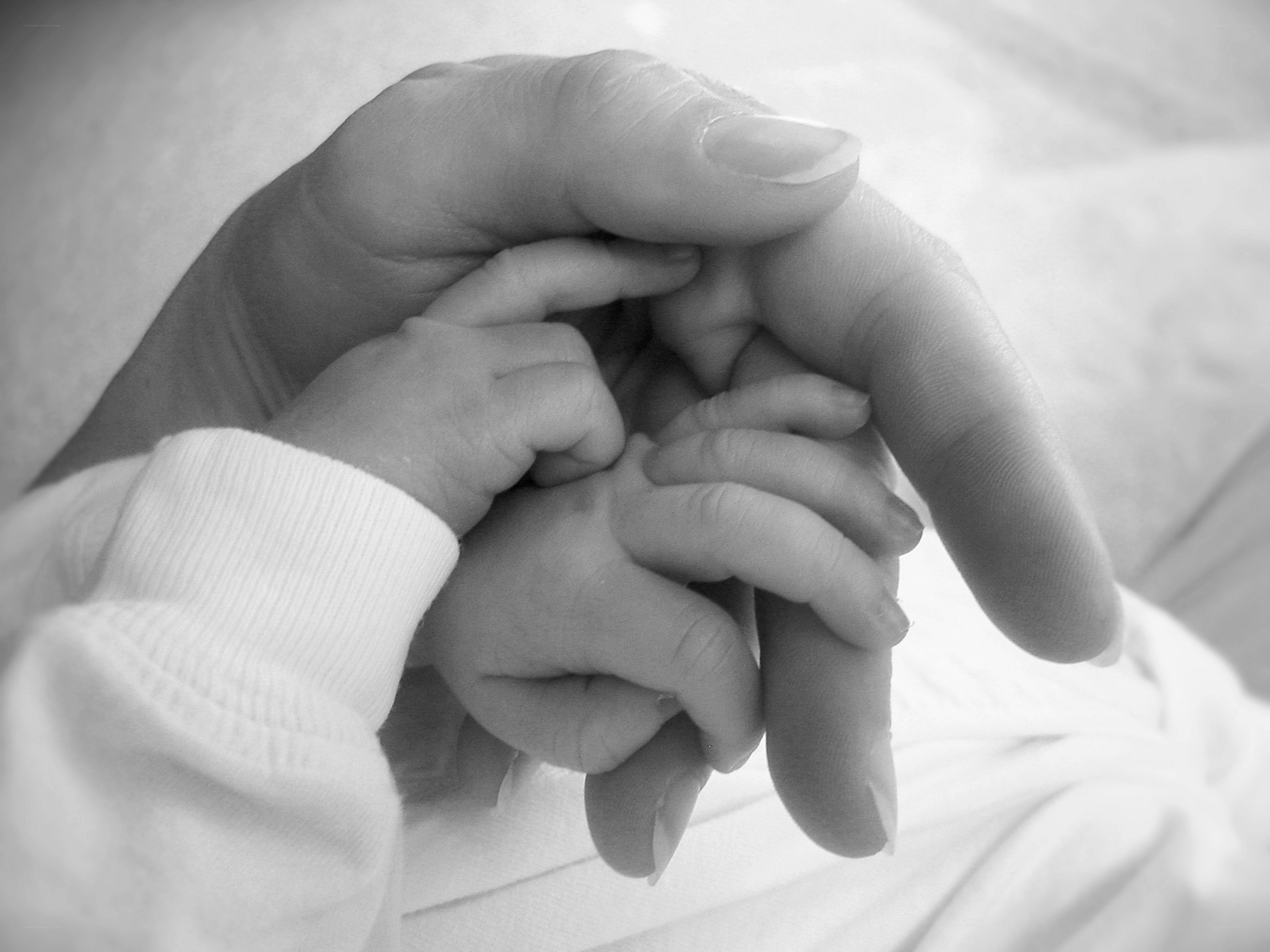 hands holding baby hands