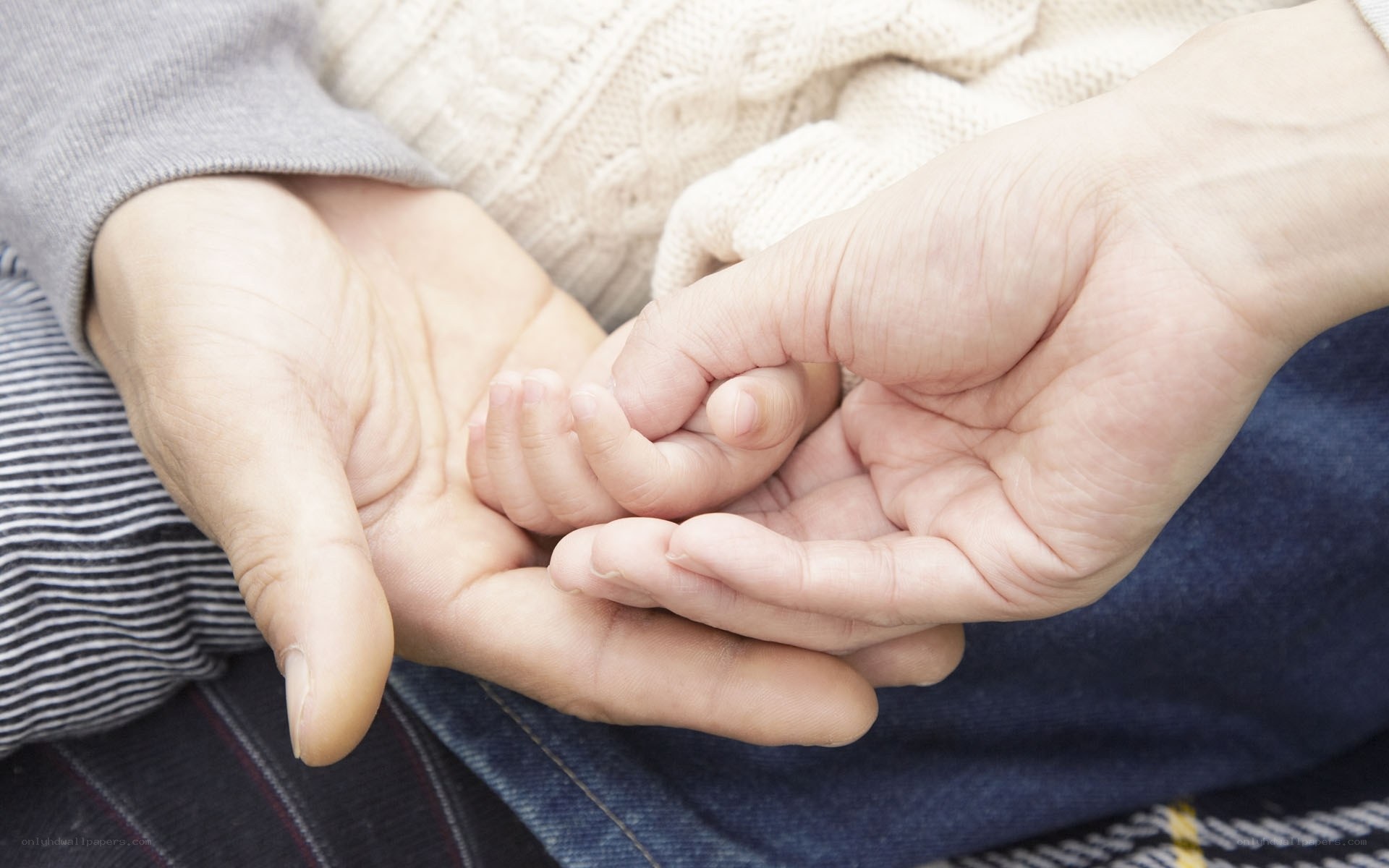 hands holding baby's hand