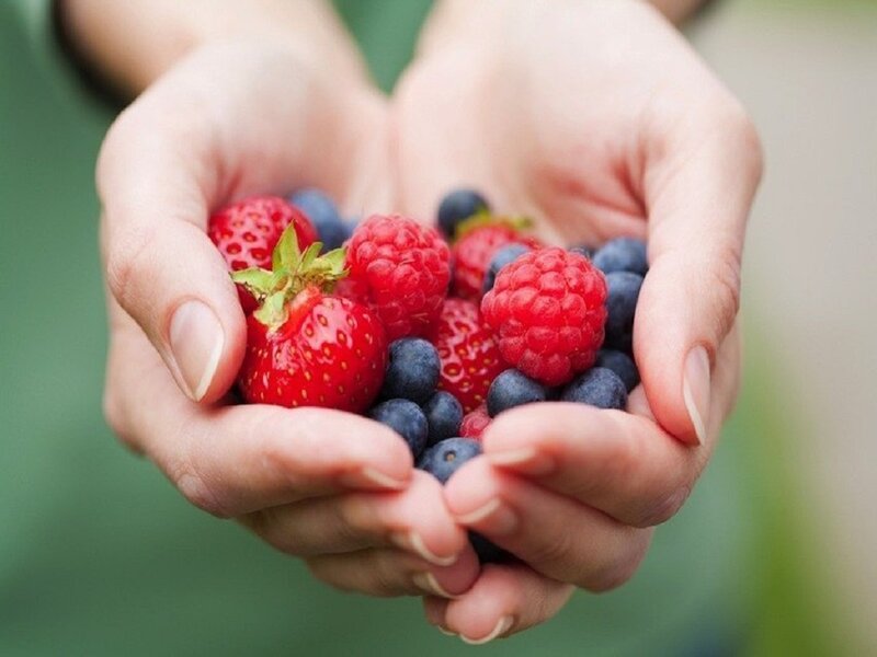 Hands Holding Berries — Red