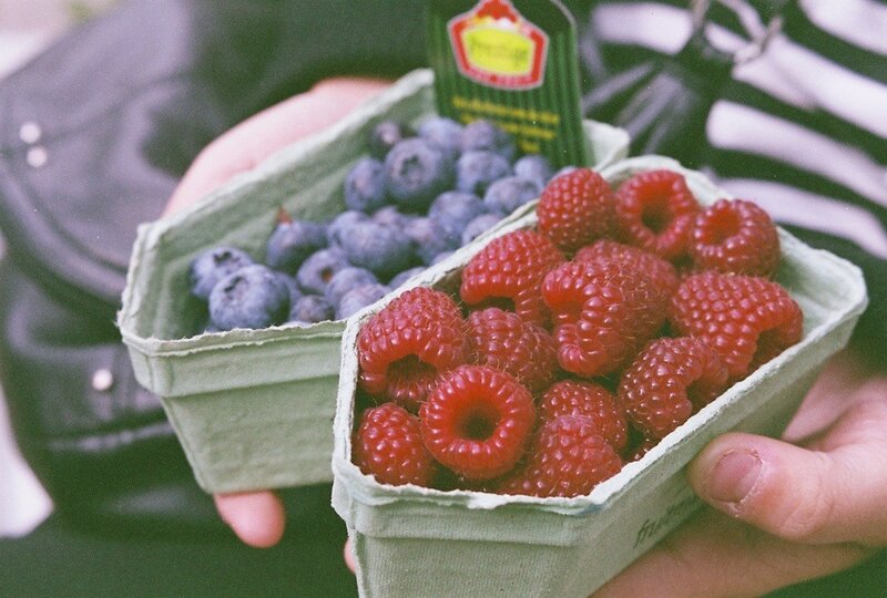 Hands holding berries