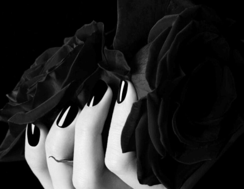 Hands Holding Black Roses