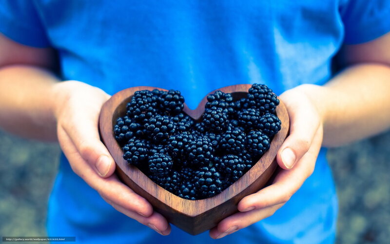 Hands Holding Blackberries — Blue, Calm, Photograph