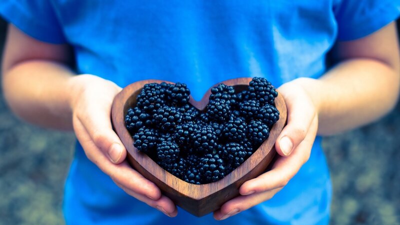 Hands Holding Blackberries — Blue, Calm, Photograph, Wooden Bowl