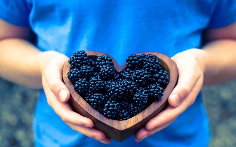 Hands Holding Blackberries — Blue, Calm