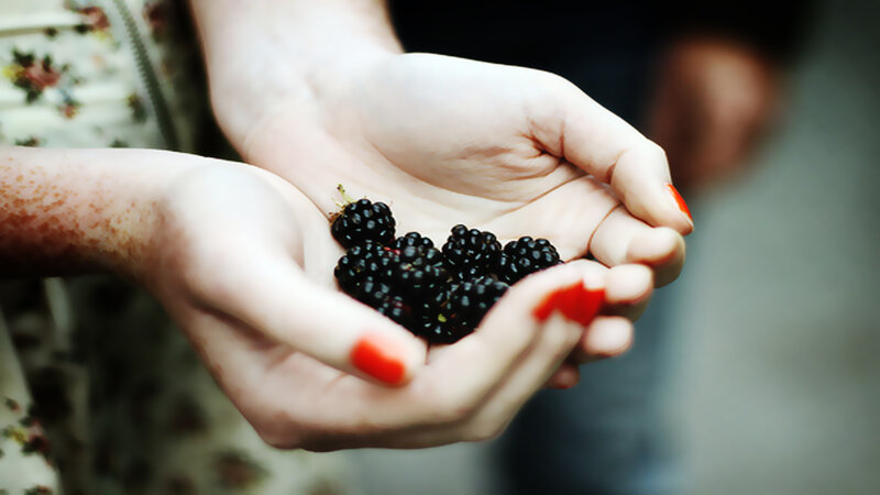 Hands Holding Blackberries
