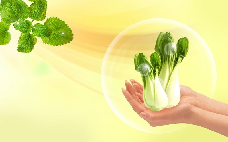 Hands Holding Bok Choy