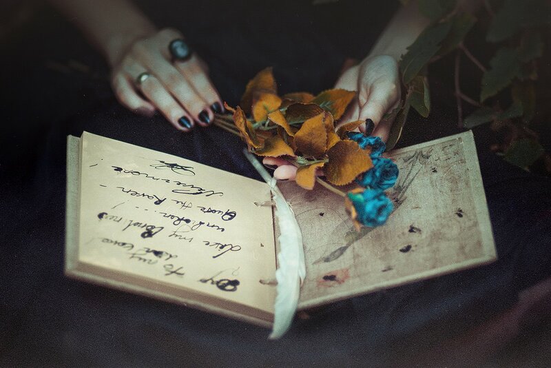 Hands Holding Book — Brown