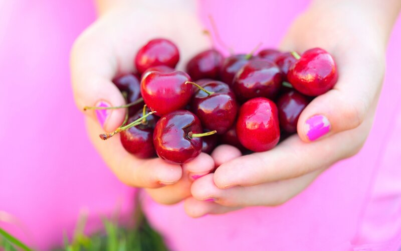 hands holding cherries