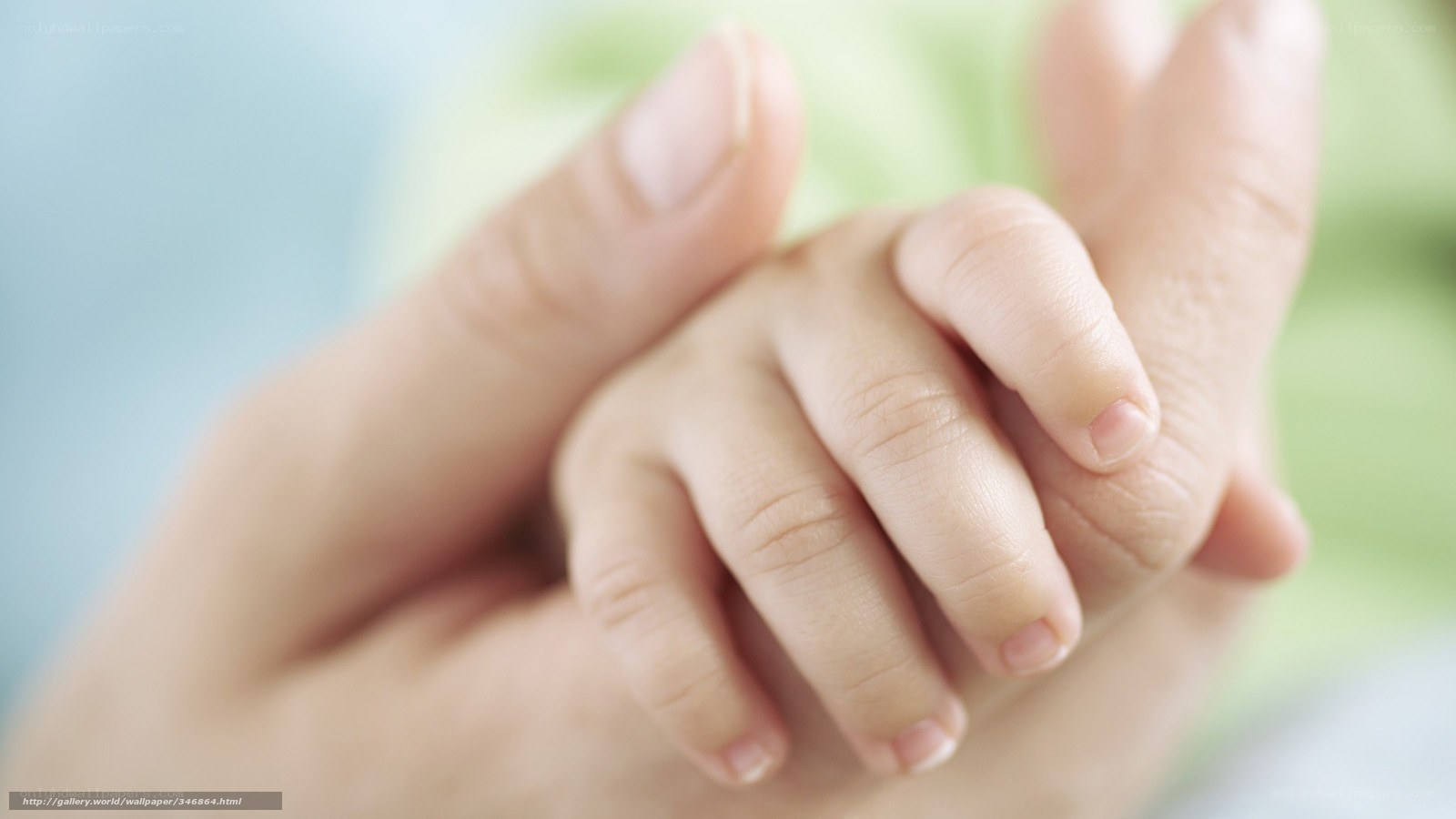 hands holding child's hand
