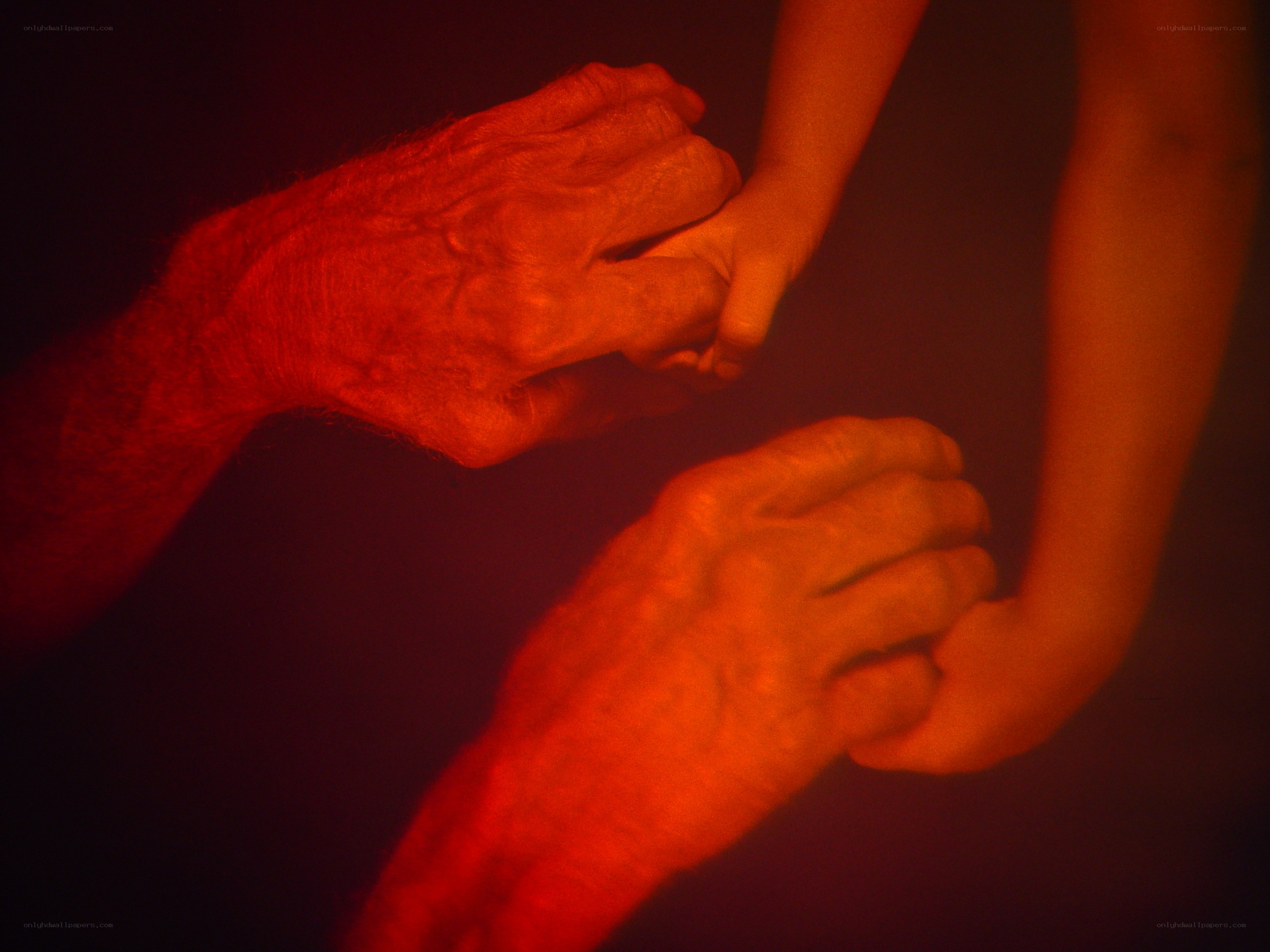 hands holding child's hands