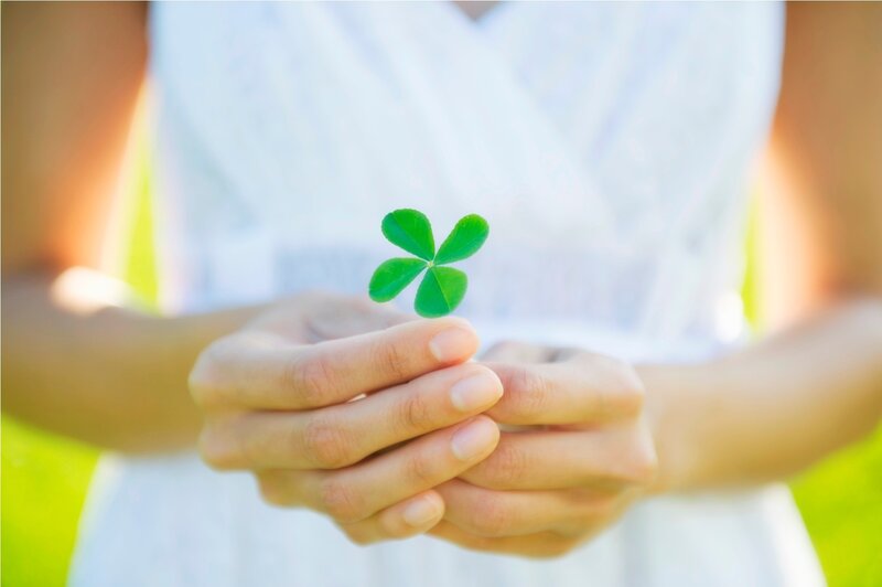 Hands Holding Clover