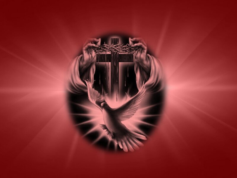 Hands Holding Crown of Thorns