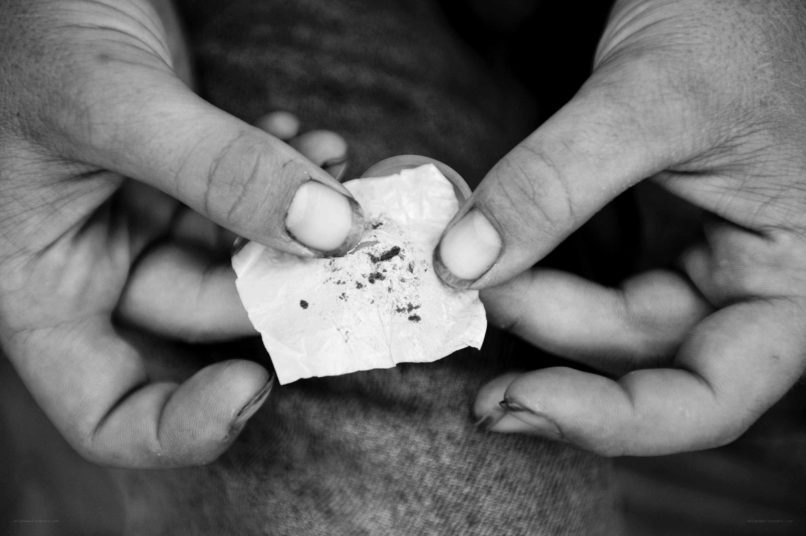 hands holding crumpled paper