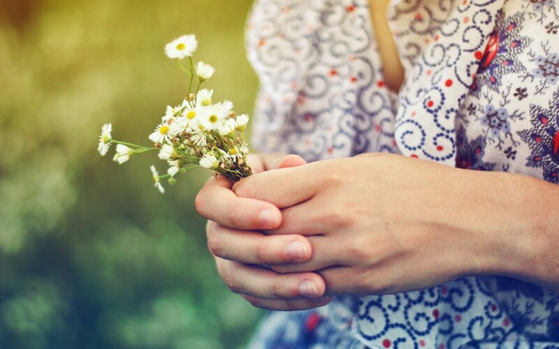 hands holding daisies