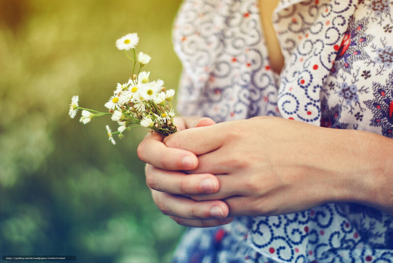 Hands Holding Daisies — White, Serene