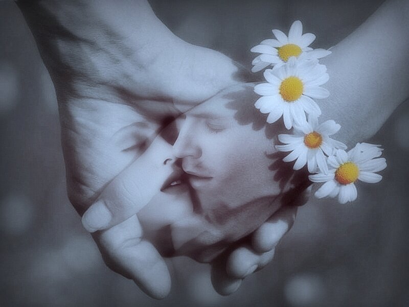 Hands Holding Daisies — White
