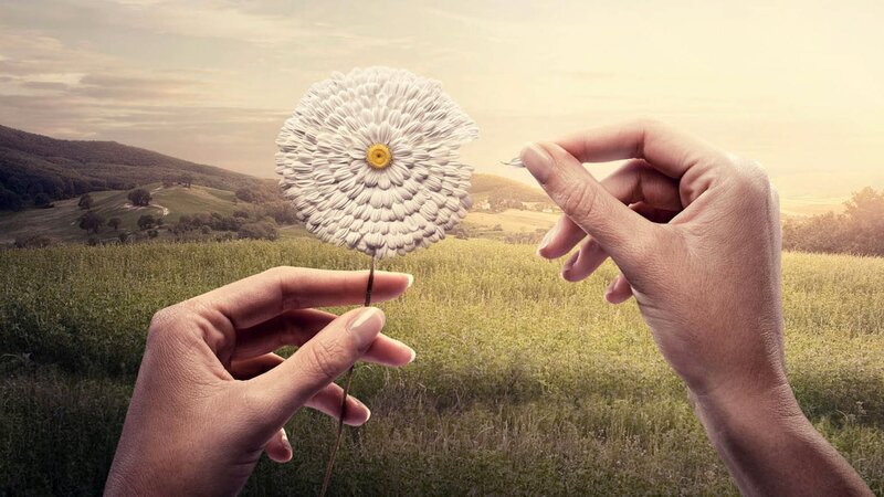 Hands Holding Daisy — Green