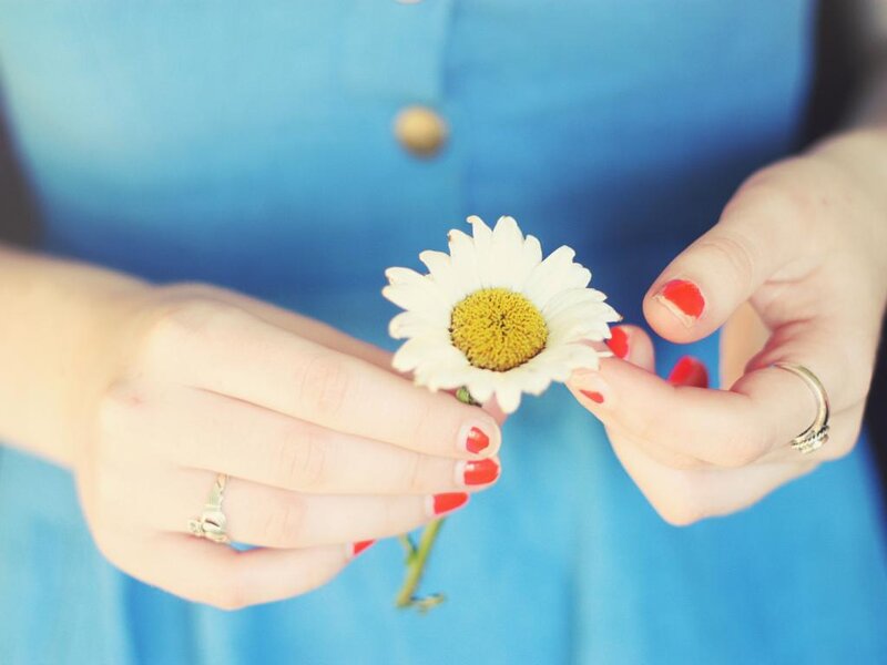 Hands Holding Daisy