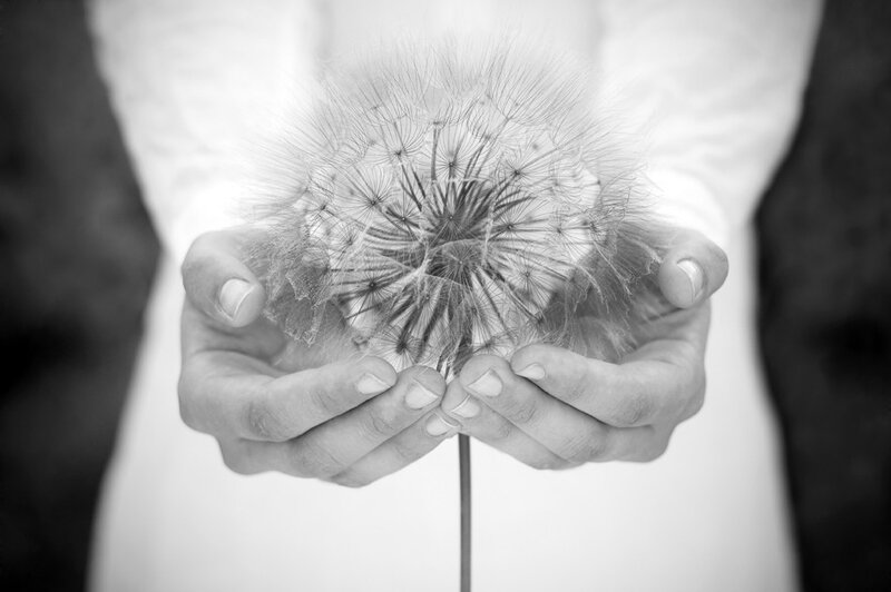 Hands Holding Dandelion — Black