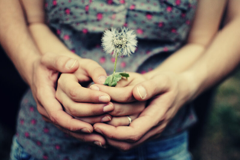 Hands Holding Dandelion — Blue