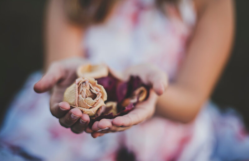 hands holding dried flowers
