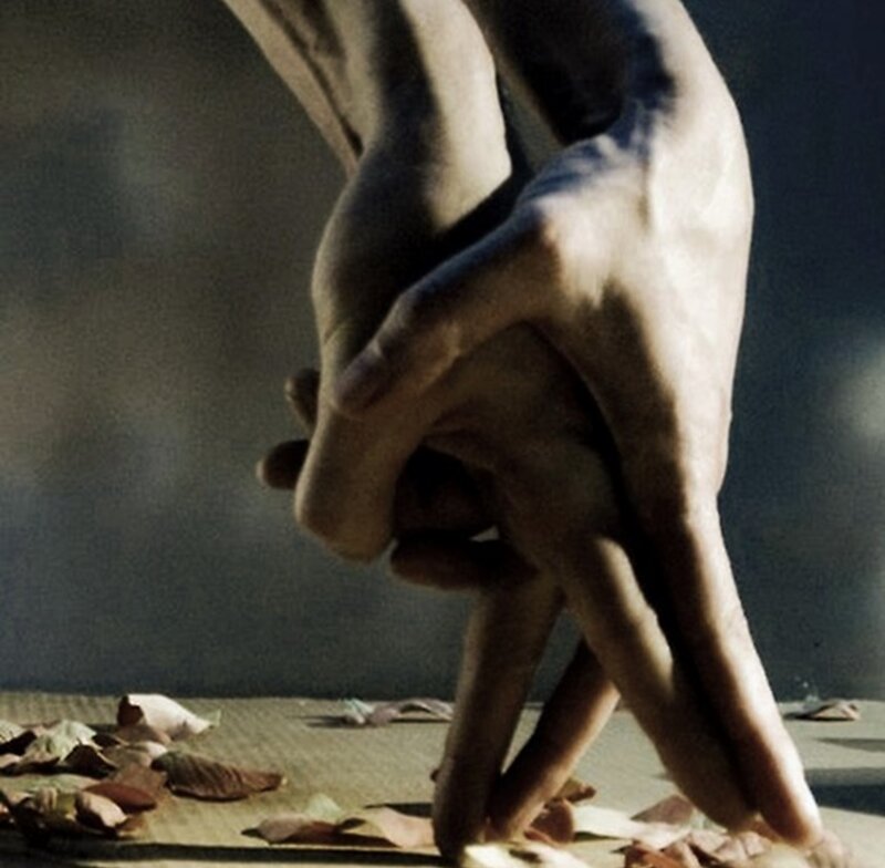 Hands Holding Each Other — Brown