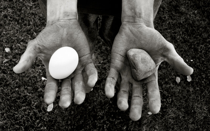 Hands holding egg and stone