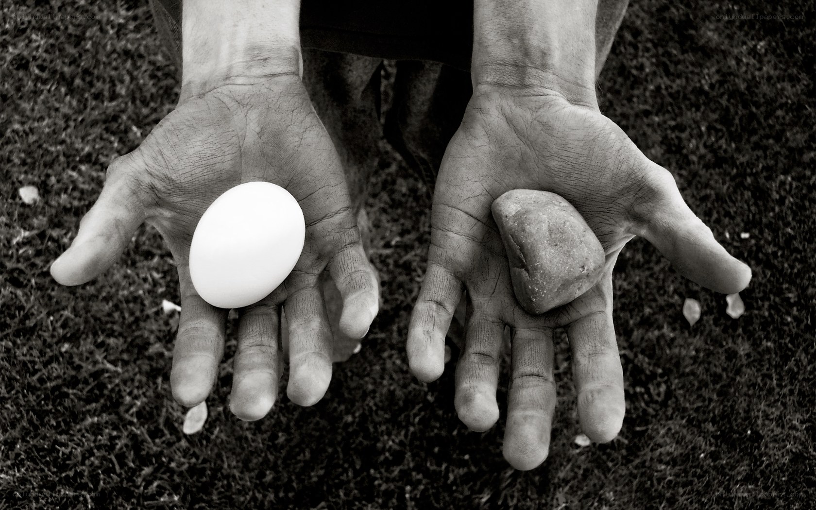 Hands holding egg and stone